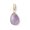 Natural Amethyst & Rose Quartz & Red Agate & Green Aventurine & Tiger Eye Pendants PALLOY-JF04935-2