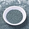 MIYUKI Delica Beads SEED-X0054-DB1172-2