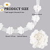Polyester Chiffon Lace Trim OCOR-WH0007-02-2