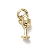 Brass Charms KK-H493-01G-03-1