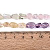 Natural Rose Quartz & Amethyst & Citrine(Heated) & Prehnite Beads Strands G-N371-01A-01-6