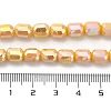 Electroplate Glass Beads Strands EGLA-D030-06D-4