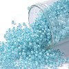 TOHO Round Seed Beads SEED-JPTR11-0976-1