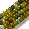 Natural Agate Beads Strands G-H295-C03-13-2