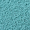 MIYUKI Round Rocailles Beads X-SEED-G007-RR0412L-4