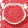 Baking Painted Glass Seed Beads SEED-C004-01N-2