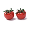 Imitation Vegetable Resin Pendants RESI-K033-03B-03-1