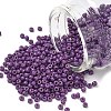 MIYUKI Round Rocailles Beads SEED-X0055-RR4490-1