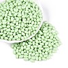 Baking Paint Glass Seed Beads SEED-T007-15J-3