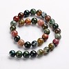 Round Natural Indian Agate Gemstone Bead Strands G-J333-07-12mm-2