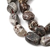 Natural Leopard Skin Jasper Beads Strands GG-CBAC13F-A01-01-4