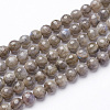 Natural Labradorite Beads Strands G-D136-6mm-11-2