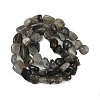 Natural Labradorite Beads Strands G-Q060-E20-02-3