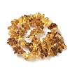 Natural Amber Beads Strands G-L095-D01-01-3