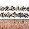 Natural Dalmatian Jasper Beads Strands G-N368-01A-03-5