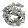 Natural Labradorite Beads Strands G-F769-P01-01-3