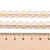 Baking Painted Pearlized Glass Pearl Round Bead Strands PEAR-H019-02C-07-2