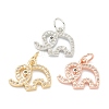 Brass Micro Pave Clear Cubic Zirconia Charms ZIRC-B010-34-1