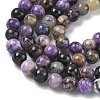 Natural Charoite Beads Strands G-C270-O03-02-4