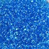 Transparent Colours Glass Seed Beads SEED-P006-02A-08-3