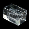 3D Laser Engraving Animal Glass Figurine LS-DJEW-R013-01B-5