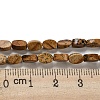 Natural Picture Jasper Beads Strands G-M420-H10-03-5