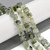 Natural Prehnite Beads Strands G-G053-B12-01C-2