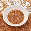 MIYUKI Delica Beads SEED-X0054-DB1702-2