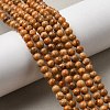 Natural Maifanite/Maifan Stone Beads Strands G-P451-01C-B-3