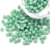 6/0 Imitation Jade Glass Seed Beads SEED-N004-006-15-1