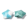 Natural Howlite Charms G-H241-04E-5