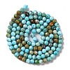 Natural Howlite Beads Strands G-C025-02B-06-3