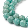 Natural Amazonite Beads Strands G-F461-12-10mm-01-4