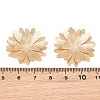 Brass Filigree Cabochons KK-CBACEE9-02B-KCG-3