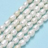 Natural Cultured Freshwater Pearl Beads Strands PEAR-J006-10D-02A-2