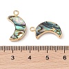 Natural Paua Shell Pendants SHEL-P017-24G-3