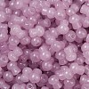 Transparent Colours Glass Seed Beads SEED-R001-01T-2