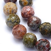 Natural Ocean Jasper Beads Strands G-I279-E20-04-3