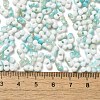 Baking Paint Glass Seed Beads SEED-F005-01A-01-4