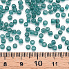 8/0 Transparent Glass Seed Beads SEED-S048-H-010-4