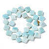 Natural Amazonite Beads Strands G-N0326-73B-02-2