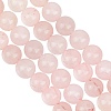 GOMAKERER 2 Strands Natural Rose Quartz Dyed Beads Strands G-GO0001-27B-1