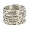 Steel Bracelet Memory Wire AJEW-XCP0001-38-3