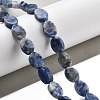 Natural Blue Spot Jasper Beads Strands G-P559-B26-01-2