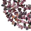 Natural Colorful Tourmaline Beads Strands G-F821-C01-01-4