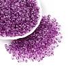 Baking Paint Electroplate Transparent Glass Seed Beads SEED-N006-07F-1