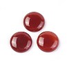 Natural Carnelian Cabochons X-G-F608-04C-01-1