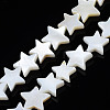 Natural Freshwater Shell Beads Strands SHEL-S278-01B-01-1