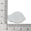 Acrylic Plastic Cabochns OACR-R269-01B-3