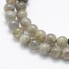 Natural Labradorite Beads Strands G-P322-33-4mm-3